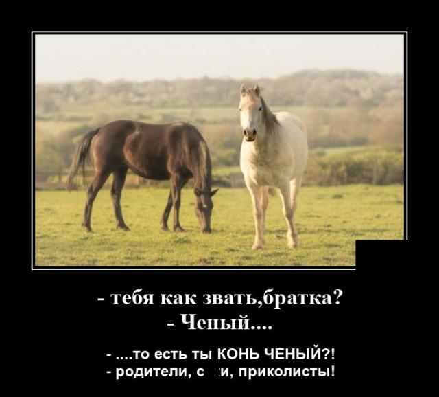 Демотиваторы 2491 Демотиваторы 2491