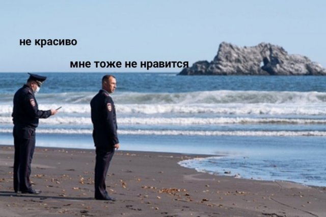 Задумчивые полицейские у Тихого океана стали героями соцсетей (13 фото)