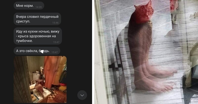 Фото с открытия кирпичного завода, или опять показалось (20 фото)