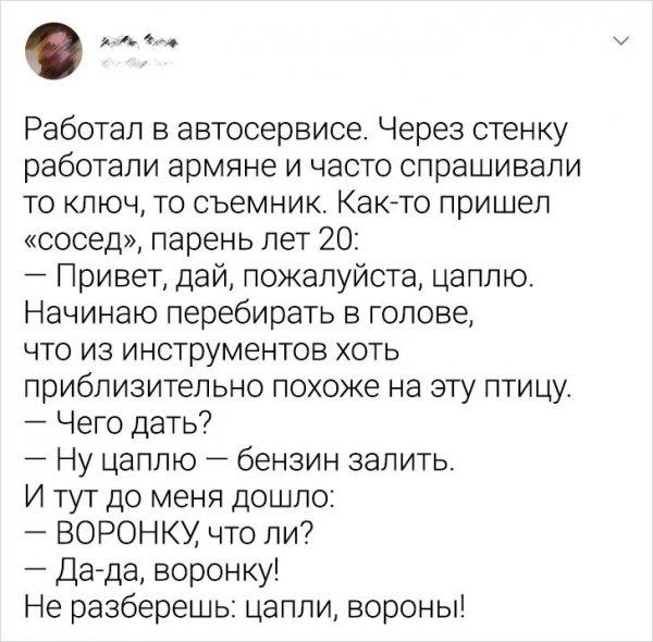 Трудности перевода фото