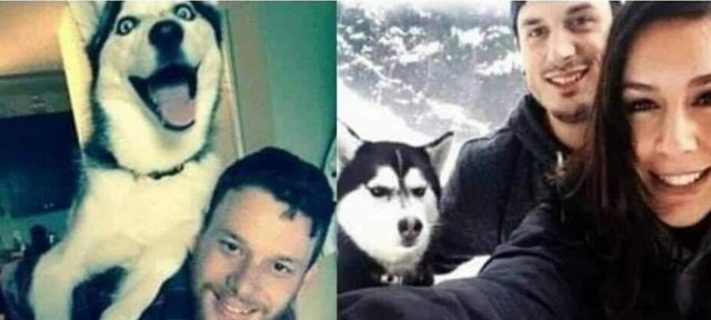 Приколы про отношения между мужчинами и женщинами (15 фото)