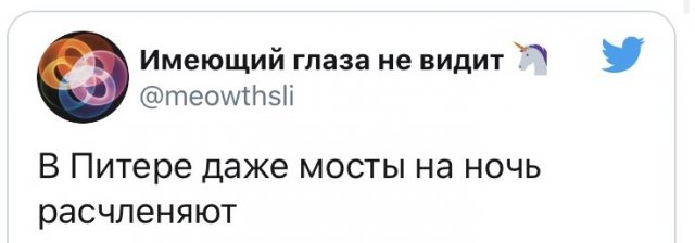 Лучшие шутки про расчлененку в Питере (13 фото)