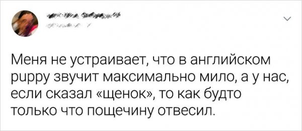 Юмор из рубрики "трудности перевода" (17 фото)