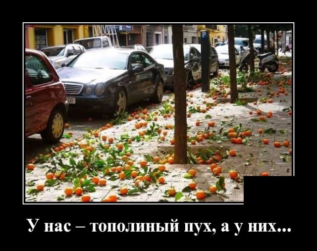 Демотиваторы 2491 Демотиваторы 2491