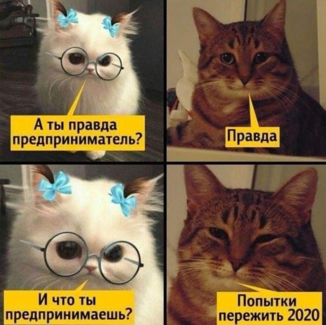 Шутки и мемы про 2020-й и коронавирус (11 фото + видео)