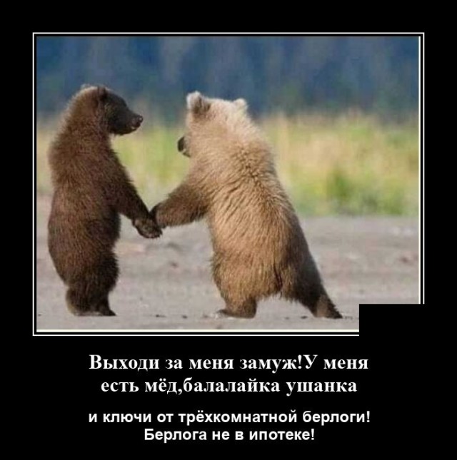 Демотиваторы 2491 Демотиваторы 2491