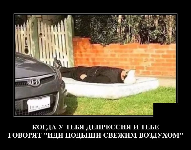 Демотиваторы 2490 Демотиваторы 2490