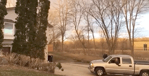 Подборка забавных и эпичных фейлов (15 гифок)