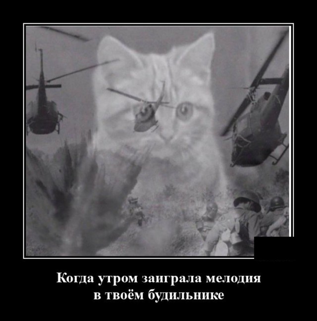 Демотиваторы 2492 Демотиваторы 2492