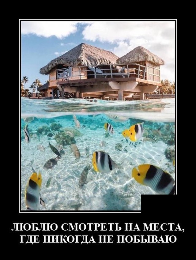 Демотиваторы 2492 Демотиваторы 2492