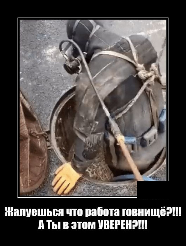 Демотиваторы 2491 Демотиваторы 2491