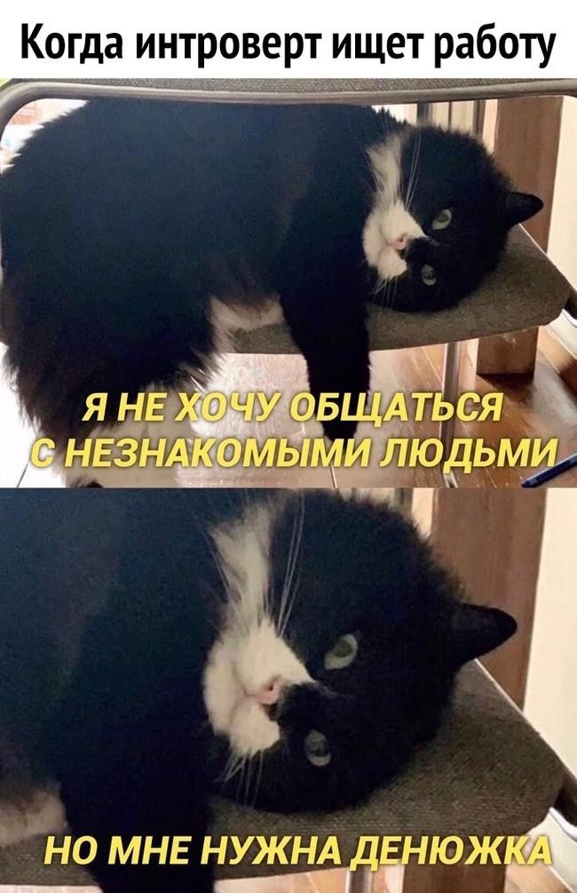 Смех сквозь слёзы: трудоустройство в 2020-м году (15 фото)