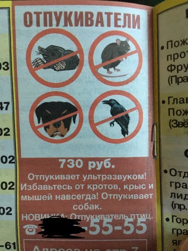 Смешные ошибки в реальной жизни и социальных сетях (15 фото)