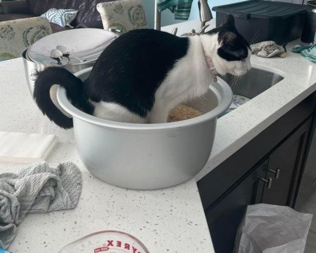 Небольшие жизненные трудности, с которыми пришлось столкнуться людям (15 фото)