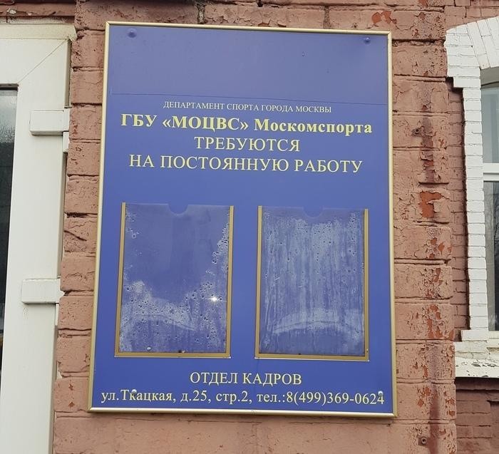 Смех сквозь слёзы: трудоустройство в 2020-м году (15 фото)