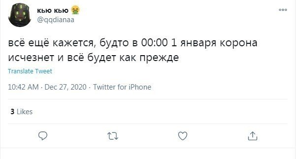 Пользователи рассказали, чем собираются заниматься 1 января (14 фото)