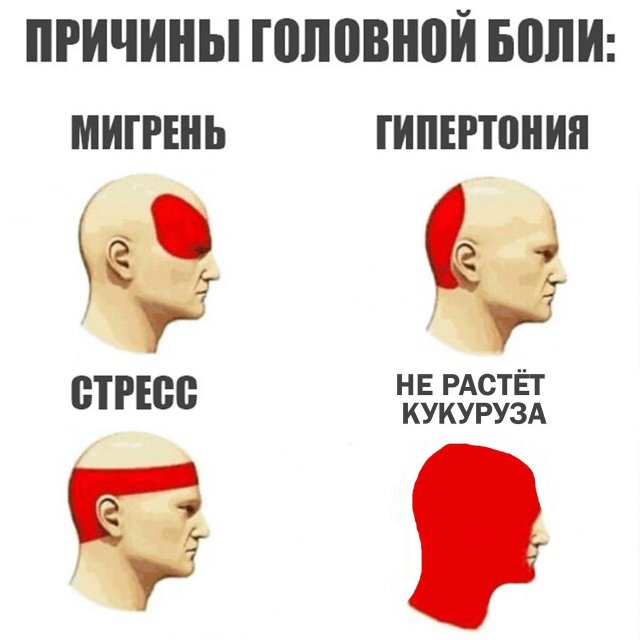 Мемы с людьми фото