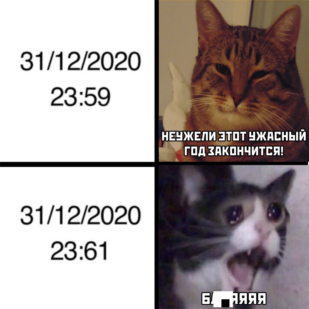 Шутки, мемы и картинки про Новый год 2021 (30 фото)