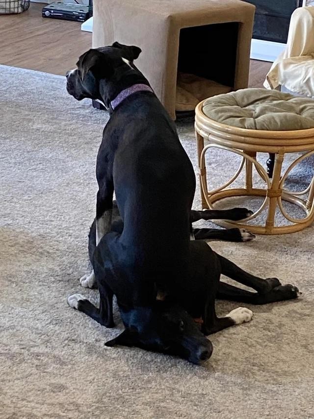 "Ачотакова?" — отмазка, которая работает всегда (15 фото)