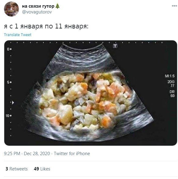 Пользователи рассказали, чем собираются заниматься 1 января (14 фото)