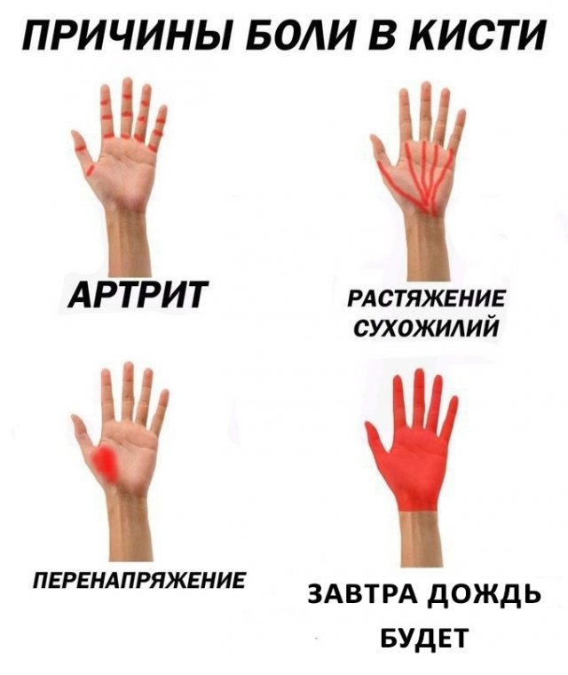 Мемы, которые поймут лишь взрослые и опытные люди (15 фото) Мемы, которые поймут лишь взрослые и опытные люди (15 фото)