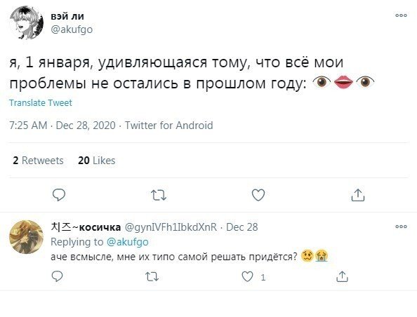 Пользователи рассказали, чем собираются заниматься 1 января (14 фото)