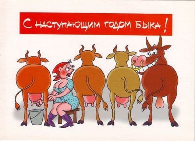 Шутки, мемы и картинки про Новый год 2021 (30 фото)