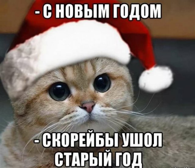 Шутки, мемы и картинки про Новый год 2021 (30 фото)