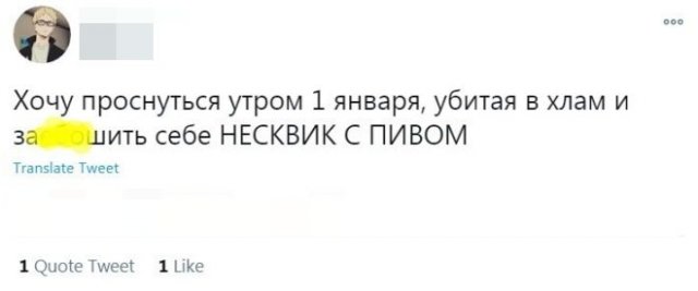 Пользователи рассказали, чем собираются заниматься 1 января (14 фото)