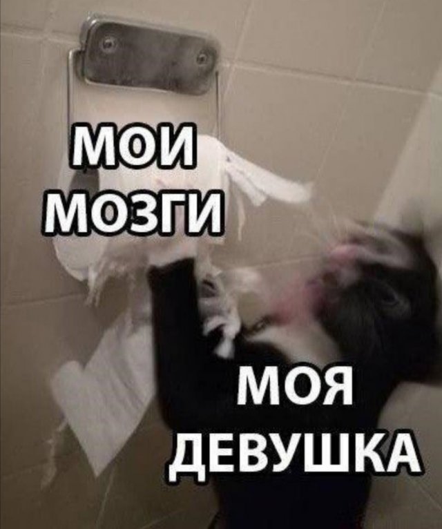 Приколы про современных девушек (15 фото)