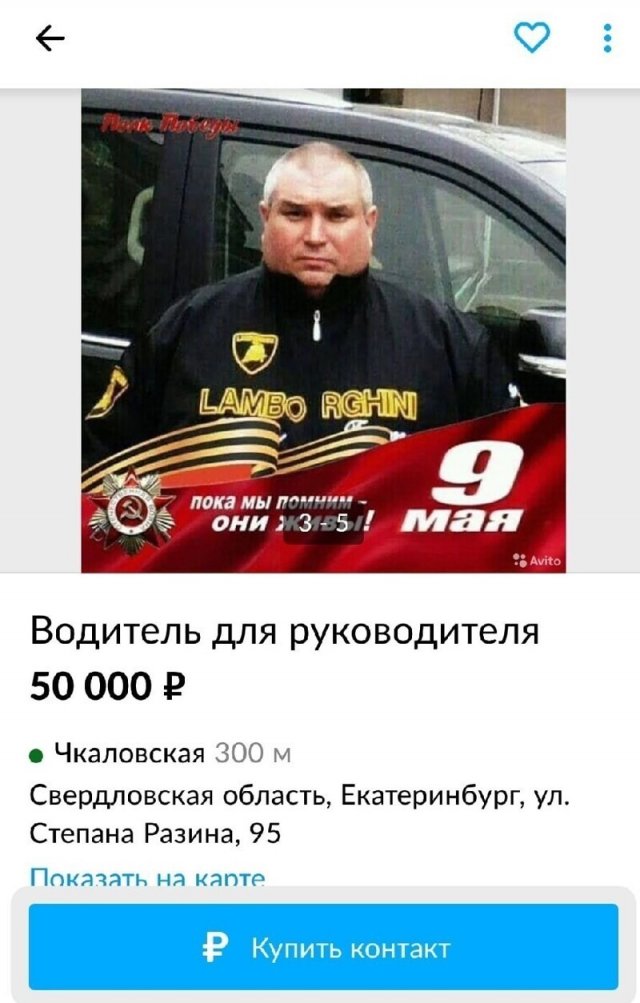 Странные и смешные резюме из Интернета (15 фото)