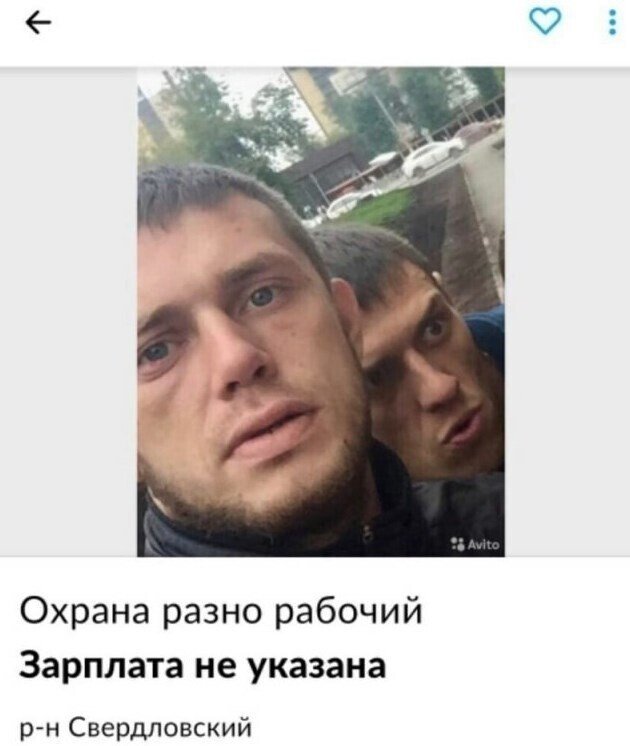 Странные и смешные резюме из Интернета (15 фото) Странные и смешные резюме из Интернета (15 фото)