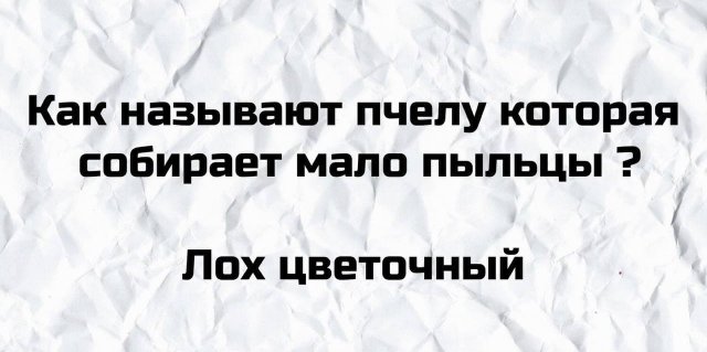 Примеры плоского юмора, который не зашел пользователям (15 фото)
