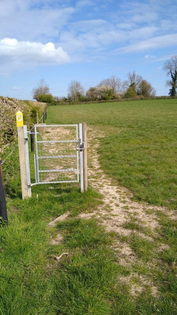 Подборка фотографий из серии "и так сойдет!" (16 фото)