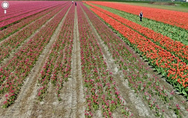 Забавные и необычные находки на картах Google (20 фото)