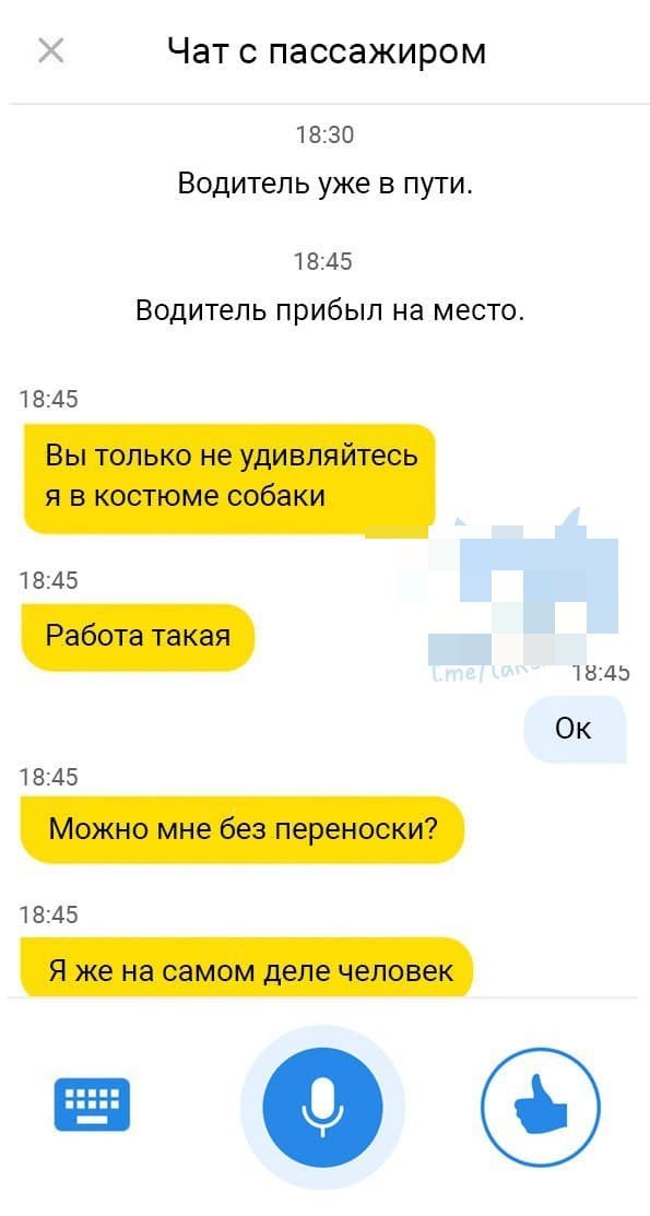 Странные и смешные переписки пассажиров с водителями такси (16 фото)