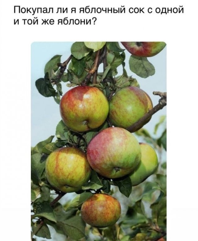 Смелые и забавные философские рассуждения от пользователей Сети (15 фото)