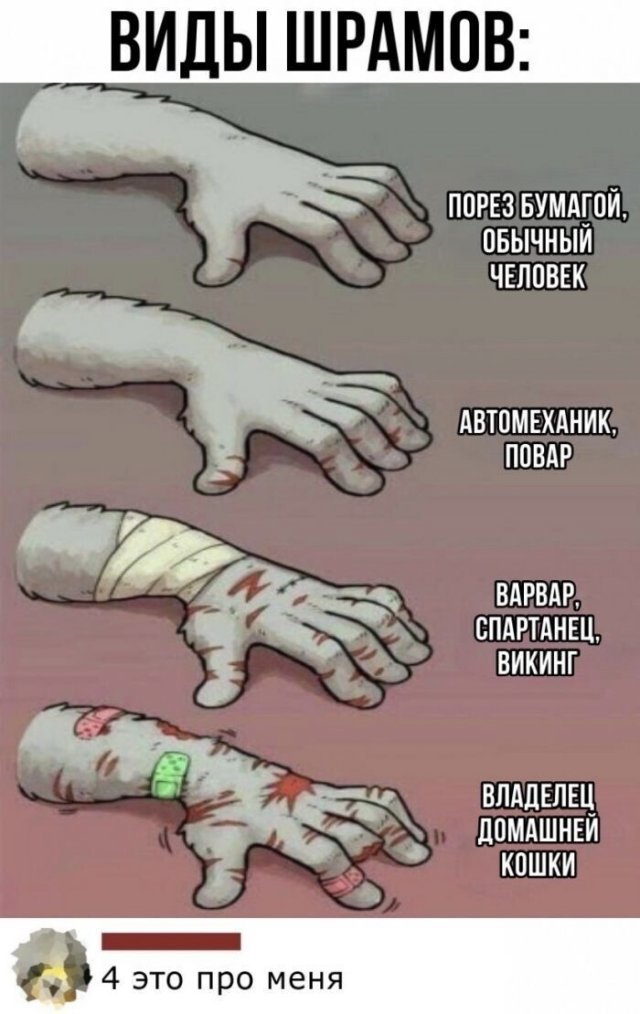 Смешные комментарии из социальных сетей (15 фото)