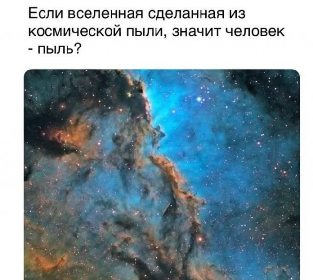 Смелые и забавные философские рассуждения от пользователей Сети (15 фото)