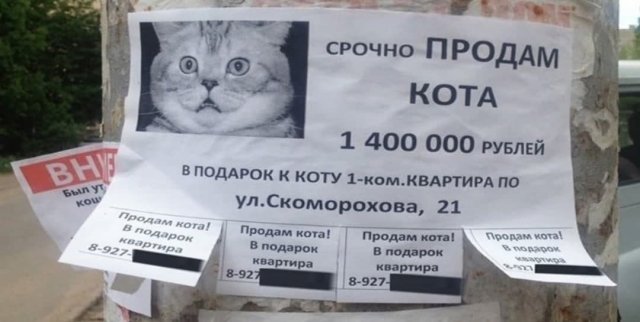 Смешные рекламные ходы (17 фото)