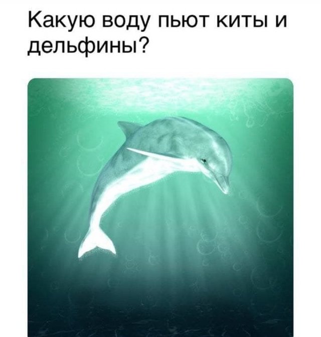 Смелые и забавные философские рассуждения от пользователей Сети (15 фото)