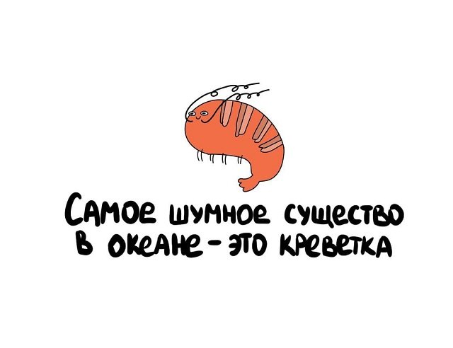 Интересные факты на все случаи жизни (15 фото)