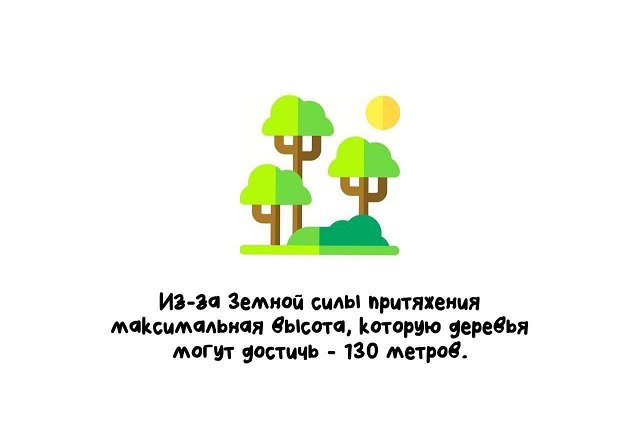 Интересные факты на все случаи жизни (15 фото)