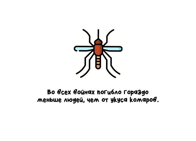 Интересные факты на все случаи жизни (15 фото)