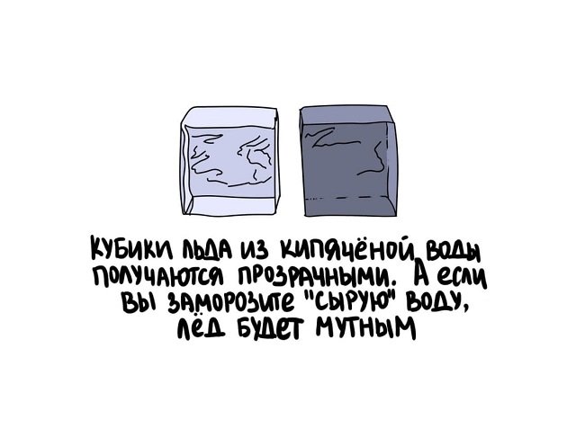 Интересные факты на все случаи жизни (15 фото)