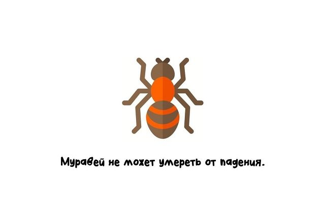 Интересные факты на все случаи жизни (15 фото)