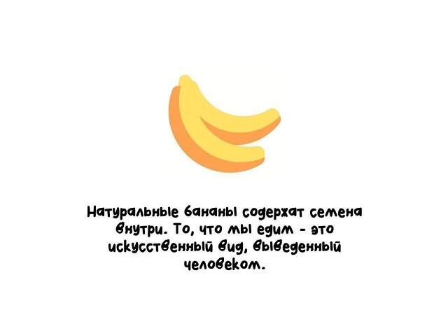 Интересные факты на все случаи жизни (15 фото)