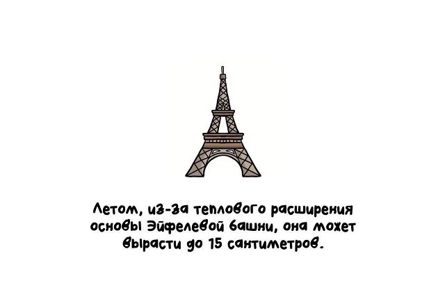 Интересные факты на все случаи жизни (15 фото)