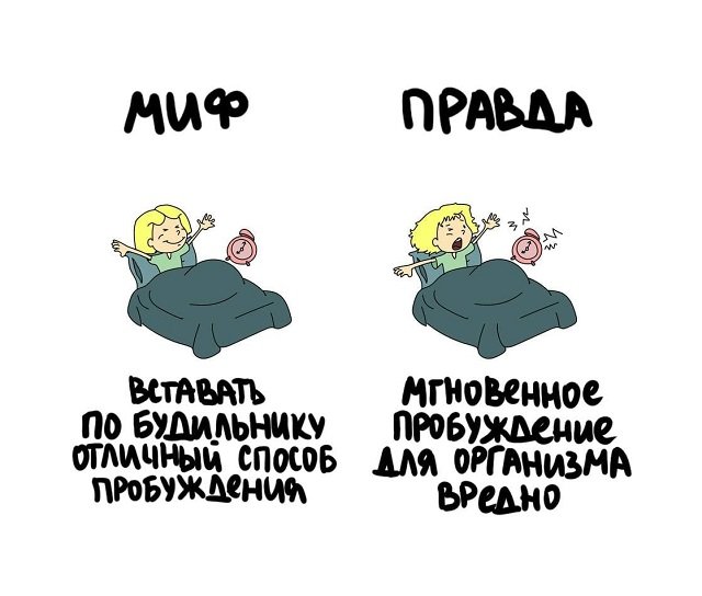 Интересные факты на все случаи жизни (15 фото)