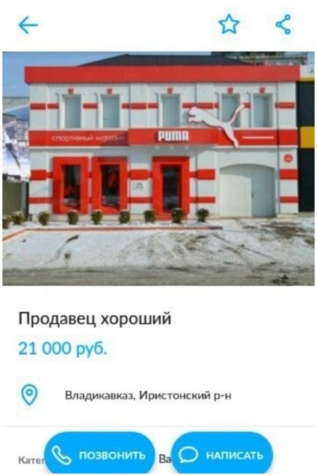 Нелепые и смешные резюме в Интернете (15 фото)